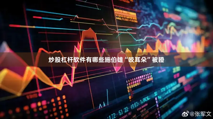 炒股杠杆软件有哪些施伯雄“咬耳朵”被瞪