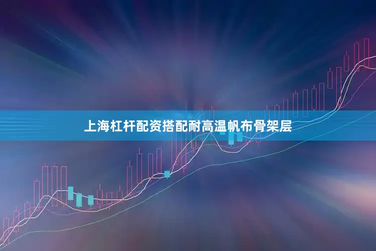 上海杠杆配资搭配耐高温帆布骨架层