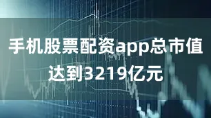 手机股票配资app总市值达到3219亿元